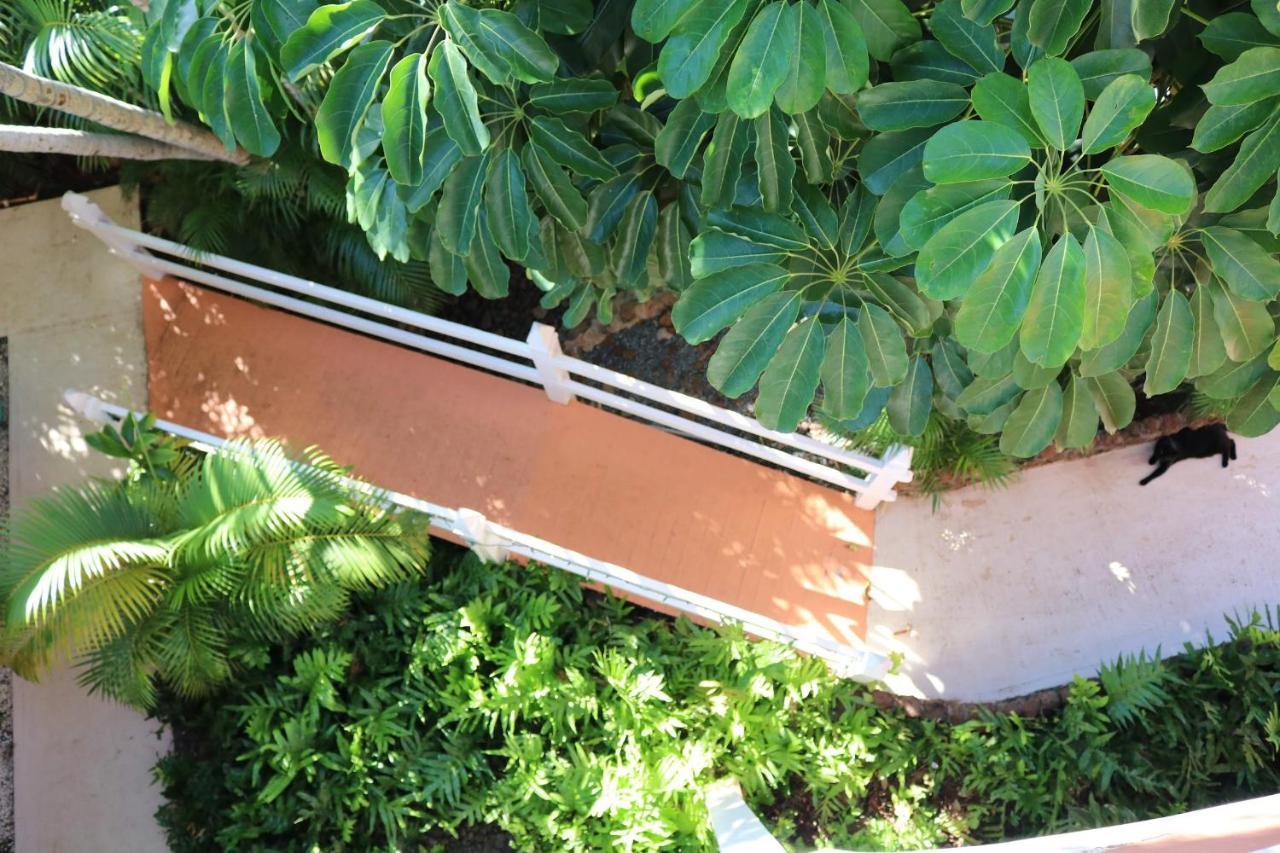 Maui Garden Oasis Villa Lahaina Luaran gambar