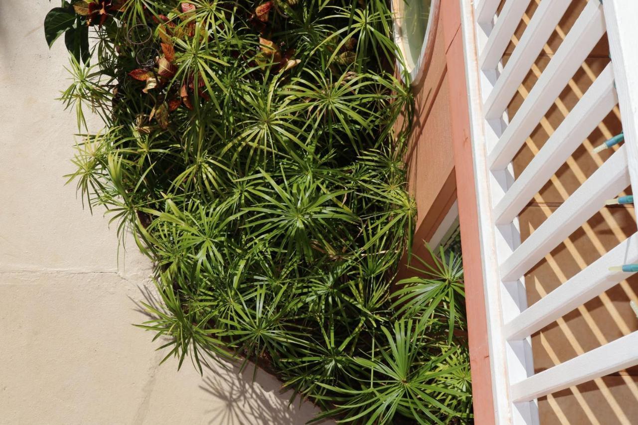 Maui Garden Oasis Villa Lahaina Luaran gambar